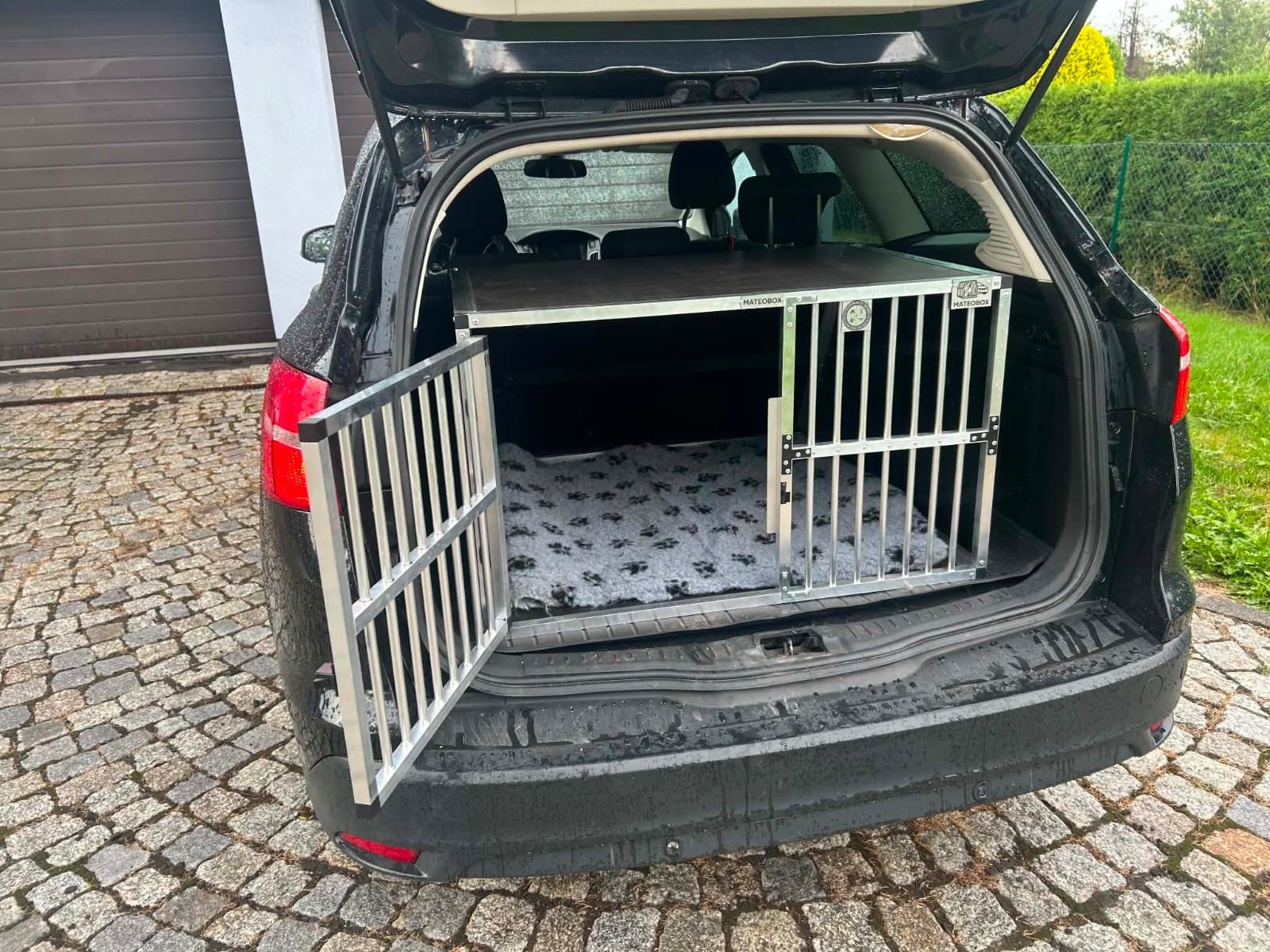 Klatka MATEOBOX z otwartymi drzwiami w bagażniku Forda Focusa kombi